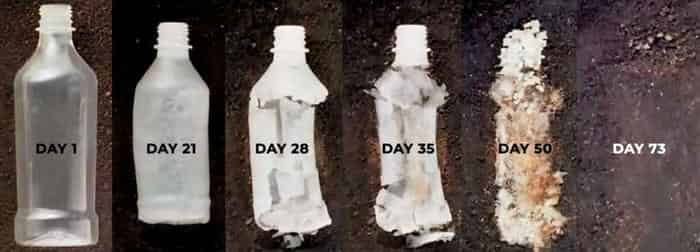 Hiểu rõ sự khác nhau giữa 'có thể phân hủy sinh học' (biodegradable) và 'có thể ủ thành phân trộn' (compostable)