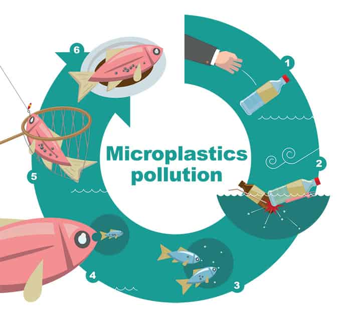 Sự Ra Đời Nhựa Sinh Học Và Những Điều Bạn Cần Biết 1 Omnipresent microplastic - Research Outreach