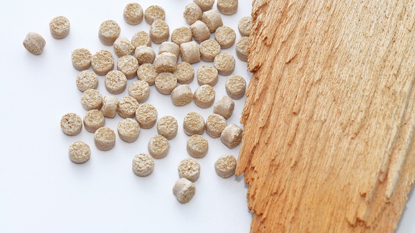 Lignocellulosic Biomass Materials: Opportunities & Challenges for Bioplastic