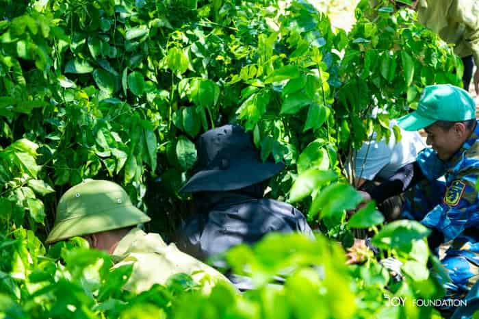 10+ Gợi Ý Quà Tặng Doanh Nghiệp Thu Hút Và Ấn Tượng 7 Gợi ý quà tặng doanh nghiệp là một chuyến đi trồng rừng
