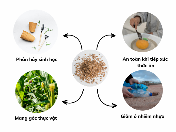 Thay Thế Đồ Nhựa Bằng Sản Phẩm Sinh Học 4 Lợi ích từ sản phẩm sinh học mang lại