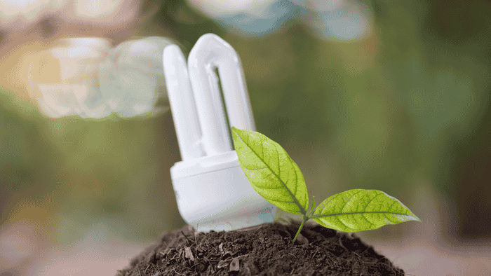 Những Sản Phẩm Thân Thiện Môi Trường Có Thể Dùng Hàng Ngày 10 Đèn LED giúp tiết kiệm năng lượng