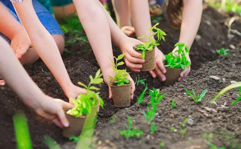 Eco-friendly products có tác động tích cực lớn với môi trường