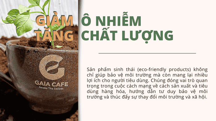 Eco-friendly products đóng vai trò quan trọng trong cuộc sống chúng ta