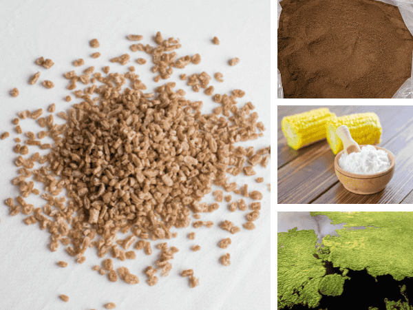 Nhựa sinh học mang nguồn gốc từ sinh khối