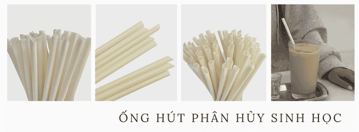 ỐNG HÚT PHÂN HỦY SINH HỌC CÀ PHÊ - AIRX COFFEE