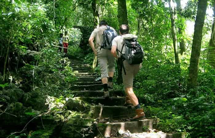 Quà Tặng Xanh: Ý Tưởng Độc Đáo Cho Mọi Dịp 4 1 Tour khám phá vườn quốc gia Cúc Phương sẽ rất thú vị