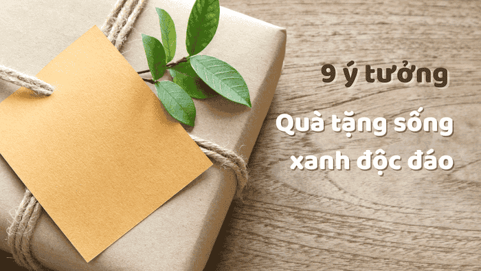 Top 9 Sản Phẩm Xanh Thân Thiện Với Môi Trường Chúng Ta Nên Sử Dụng 3 9 Ý TƯỞNG QUÀ TẶNG SỐNG XANH ĐỘC ĐÁO