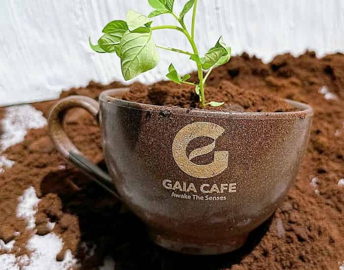 Các Loại Quà Tặng Doanh Nghiệp - Quà Tặng Xanh 6 Khả năng phân hủy sinh học của quà tặng làm từ bã cà phê