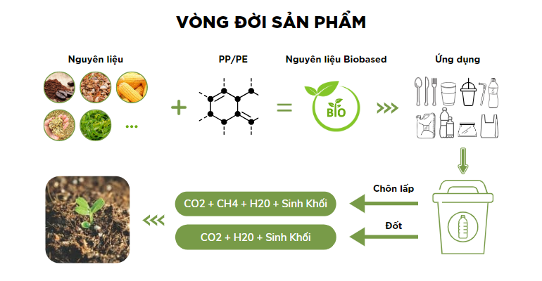Vòng đời của nhựa sinh học được kết hợp từ PP/PE