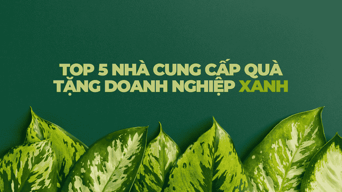 TOP 5 NHÀ CUNG CẤP QUÀ TẶNG DOANH NGHIỆP XANH