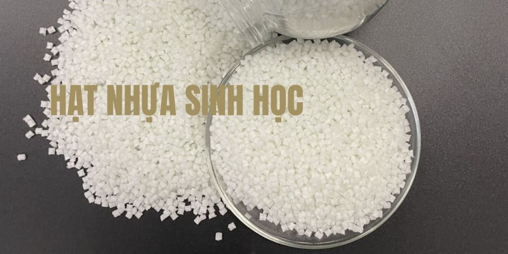 Những Điều Chưa Biết Về Hạt Nhựa Sinh Học Cà Phê