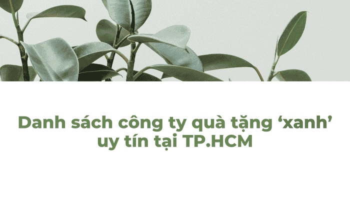 Danh Sách Công Ty Quà Tặng ‘xanh’, Uy Tín Tại Tp.Hcm