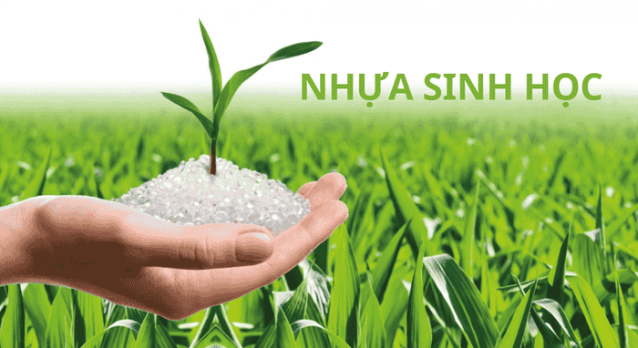 SỰ RA ĐỜI NHỰA SINH HỌC VÀ NHỮNG ĐIỀU BẠN CẦN BIẾT