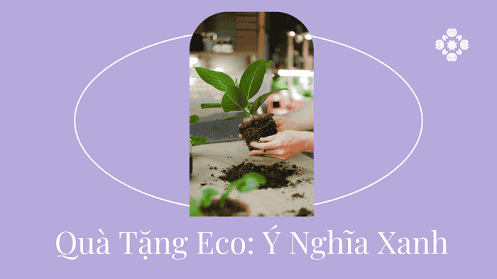 Quà Tặng Eco: Ý Nghĩa Xanh