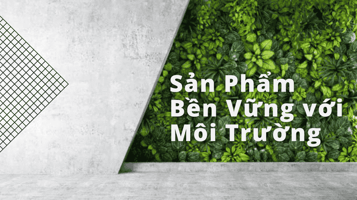 Sản Phẩm Bền Vững với Môi Trường: Hành Trình Xanh